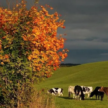 Bel Fiore - Monolocale * Cesuna